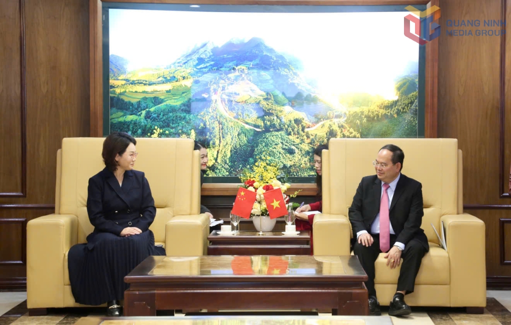 推进芒街-东兴智慧口岸项目建设