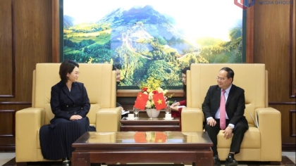 推进芒街-东兴智慧口岸项目建设