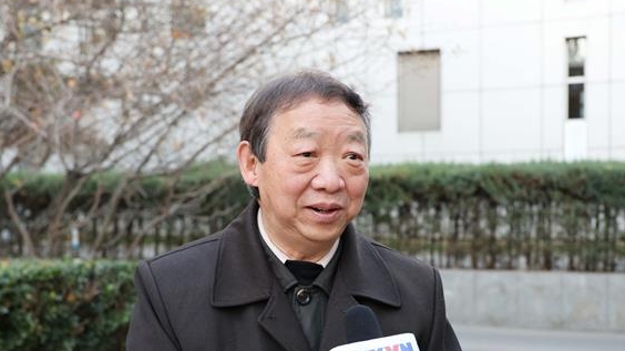 人文交流与经贸合作成为越中关系亮点