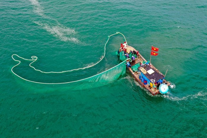 像海龟游向沙黄海的悬崖