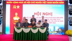 近500艘岘港渔船签署承诺书，坚决防止IUU捕捞