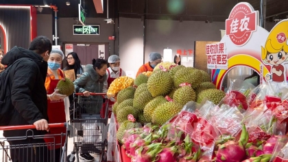 越南水果扩大在中国年货礼篮和家庭消费中的“覆盖面”