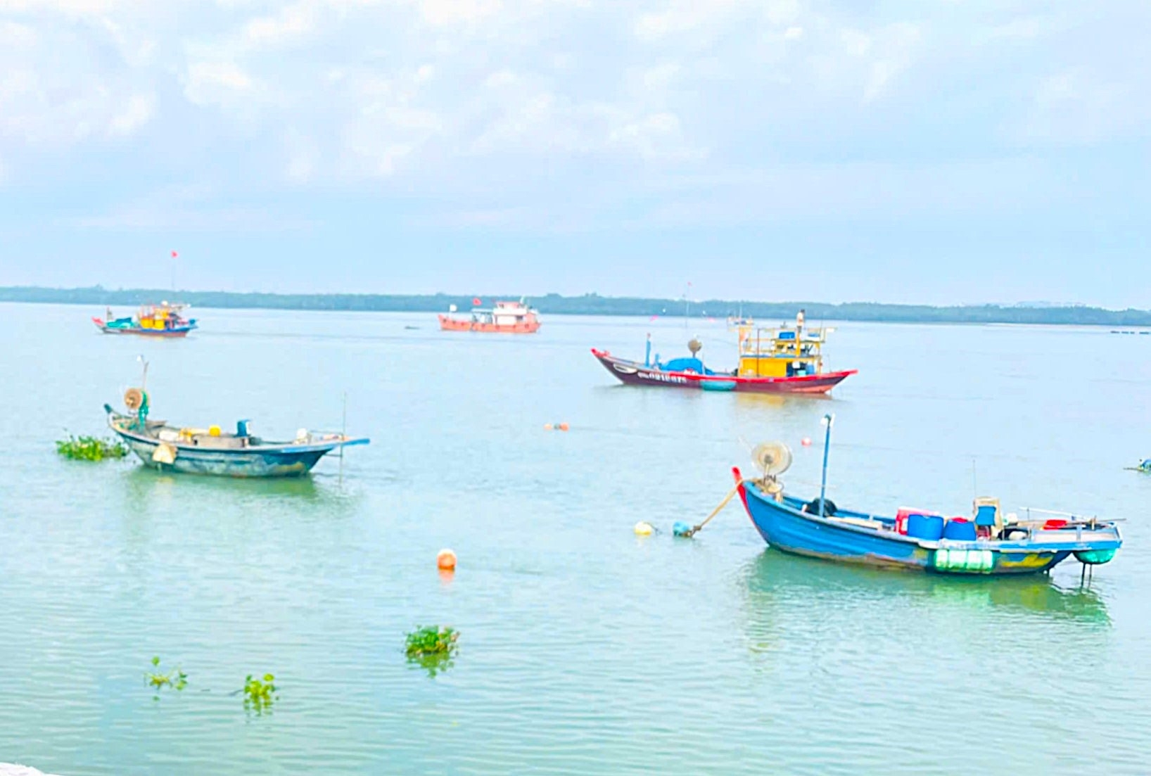 岘港出台渔业扶持新政助力解除IUU黄牌
