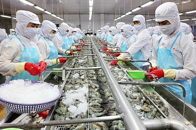 越南有望成为世界虾类主要生产国