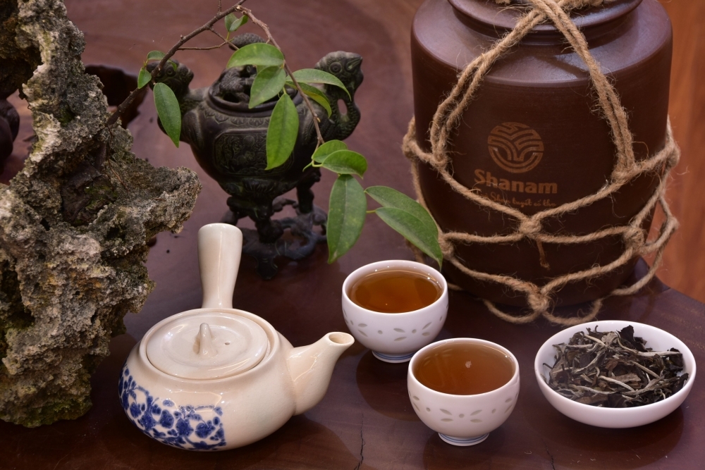 越中联合开展古树茶产业培训