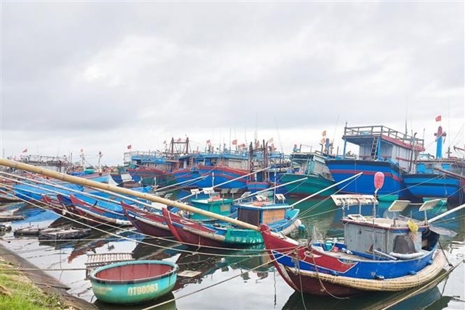 广治省支持渔民出海捕捞