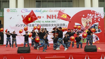 第十届越日文化交流活动在岘港精彩呈现