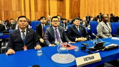 越南强调多边合作在禁毒工作中的重要性