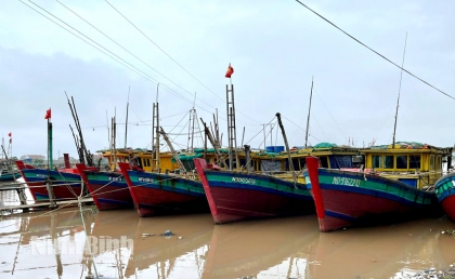 宁平省加强渔船管理，坚决打击非法、不报告和不受管制捕捞（IUU）