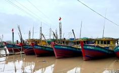 宁平省加强渔船管理，坚决打击非法、不报告和不受管制捕捞（IUU）