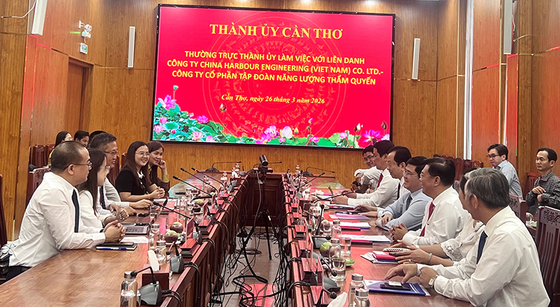 中国企业在芹苴市寻求大型风电项目投资机会