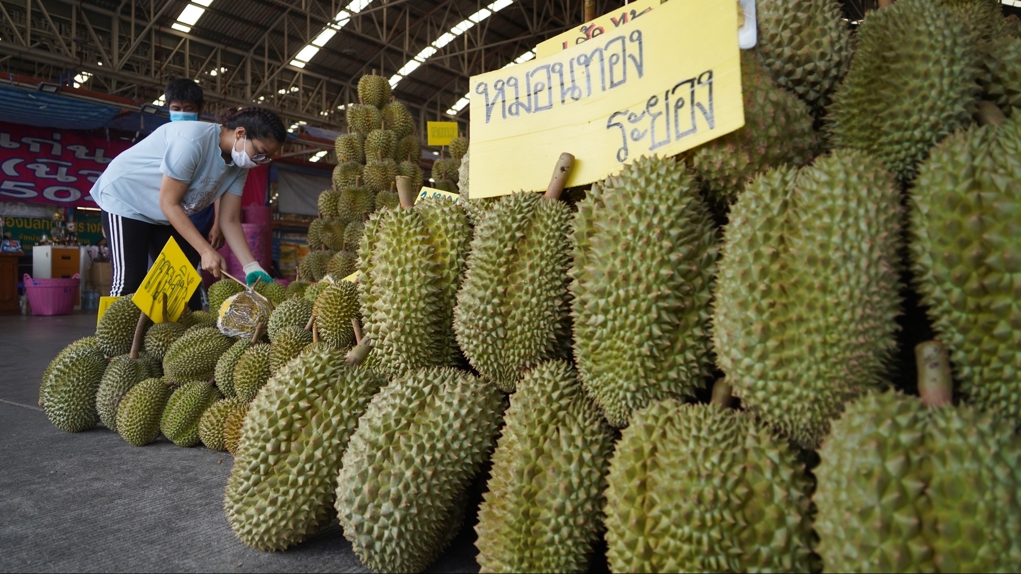 谅山省为泰国新鲜水果运往中国创造便利条件
