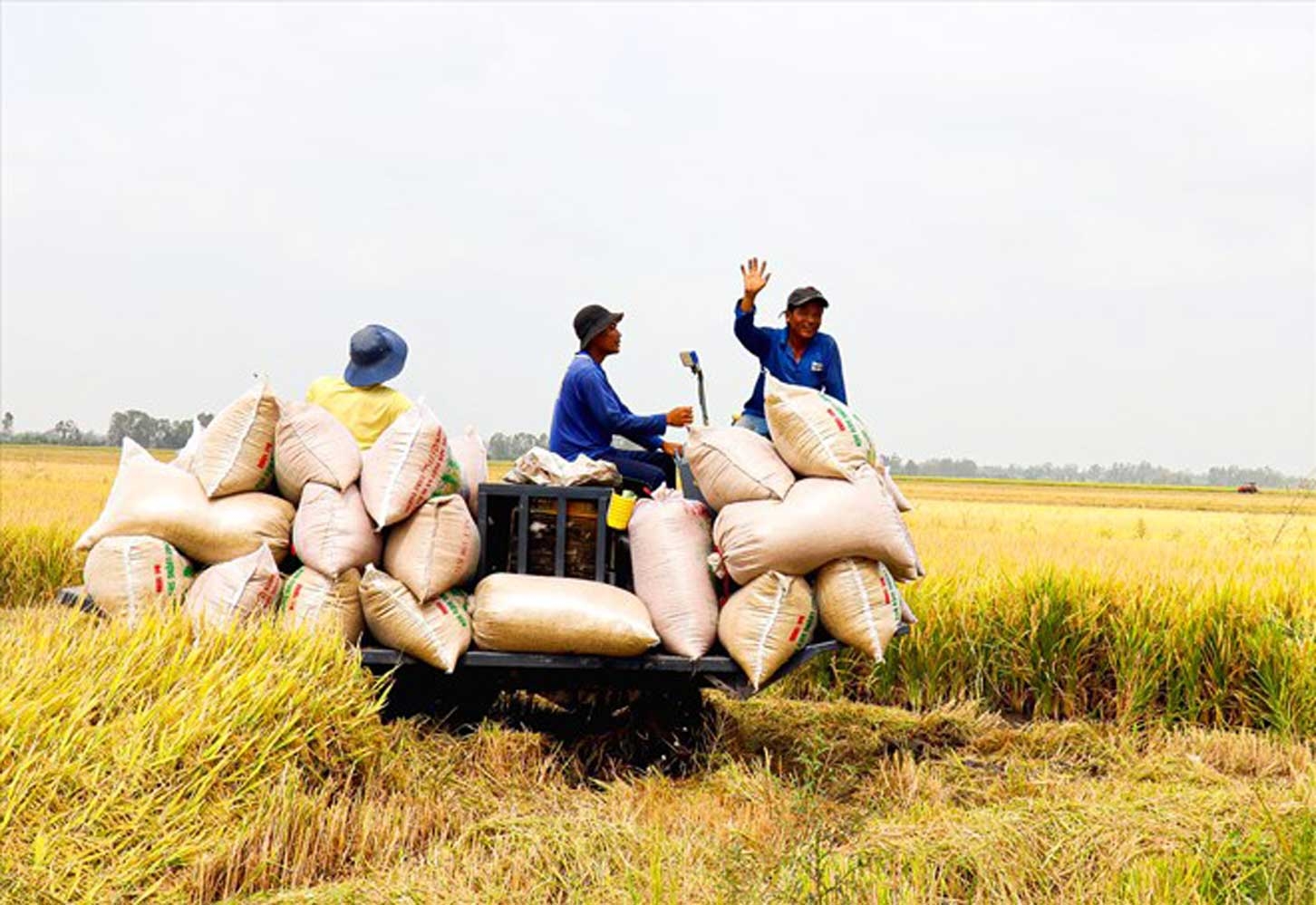 中国仍是越南最大农产品进口市场