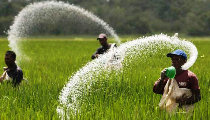 美国农业部支持越南减少农业生产碳排放