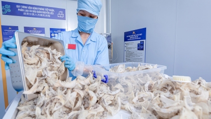 越南新增4种农产品获准正贸出口中国