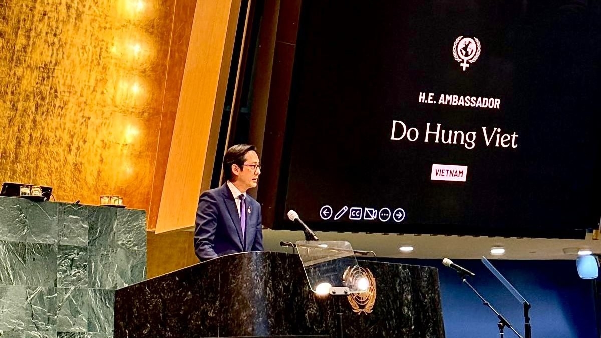 越南呼吁国际合作推动性别平等进程