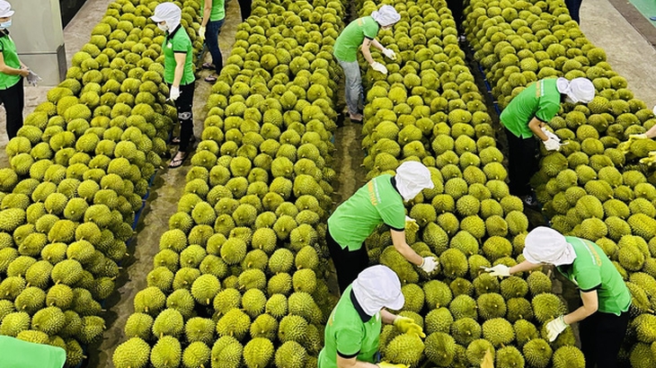 对华大米和果蔬出口创纪录增长