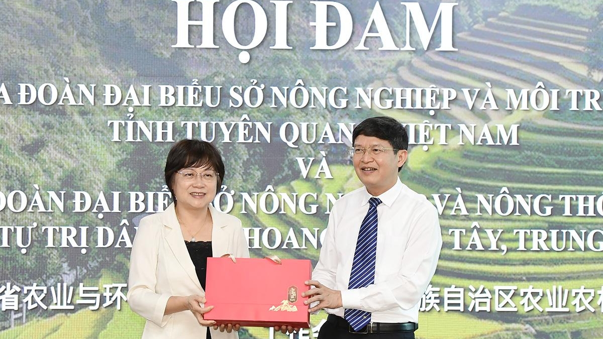 推动宣光省与中国广西壮族自治区茶产业合作发展