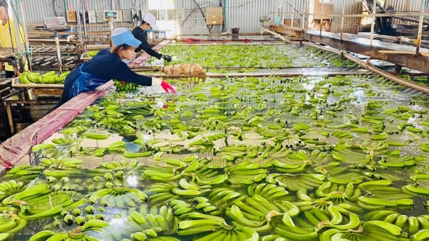 越中发挥地方合作巨大潜力与广阔空间