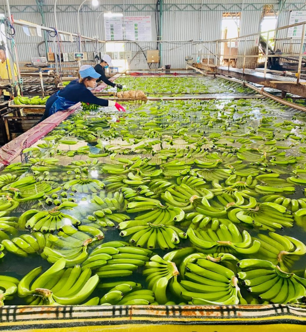 越中发挥地方合作巨大潜力与广阔空间 越中发挥地方合作巨大潜力与广阔空间