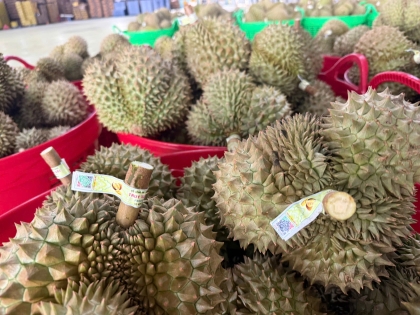 越南榴莲首次通过绿色通道出口中国