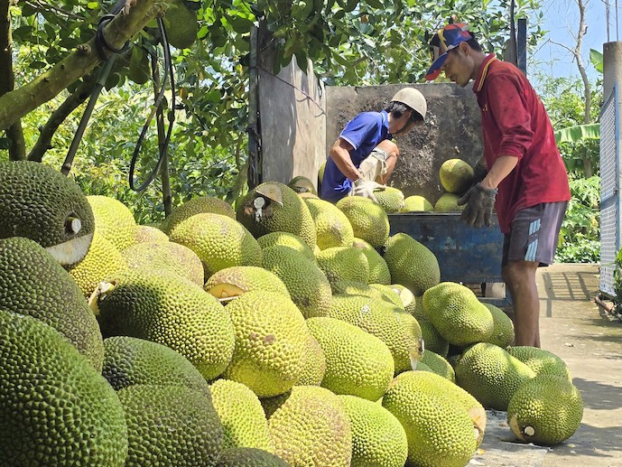 越南对华果蔬出口大幅增长