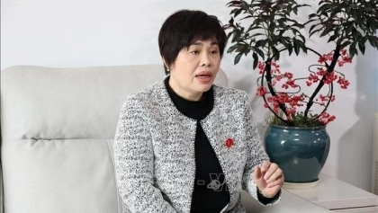 中国专家：越中合作在新背景下实现重要跃升