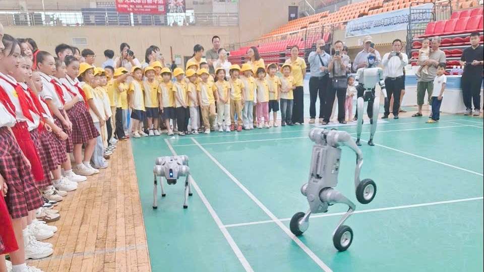 2026年越南芒街一坊—中国东兴青少年科学文化交流活动举行