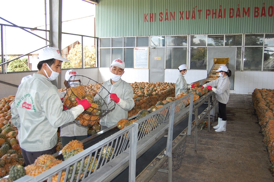 Bản in : 越南农产品和食品日益受到中国企业和消费者的青睐 | Vietnam+ (VietnamPlus)