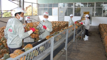 越南农产品和食品日益受到中国企业和消费者的青睐