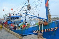 维护海岛安全，打击非法捕捞