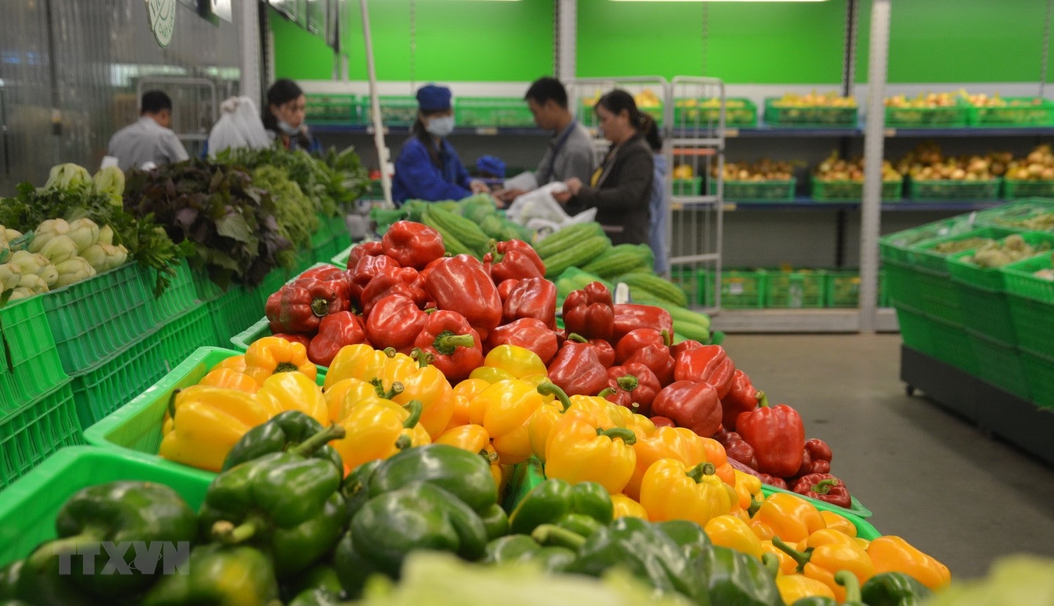 Bản in :  越南果蔬行业力争2023年出口额达40亿美元 | Vietnam+ (VietnamPlus)