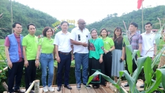联合国粮食及农业组织帮助北件省促进与体验旅游相结合的可持续农林业发展