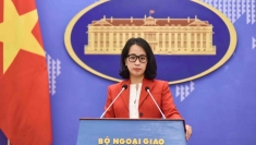 就侵犯越南对长沙群岛主权的行为递交抗议照会