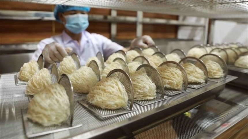 越南需提升质量标准以扩大中国市场份额