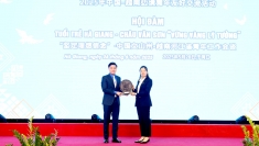 越南河江与中国文山深化青年友谊合作关系