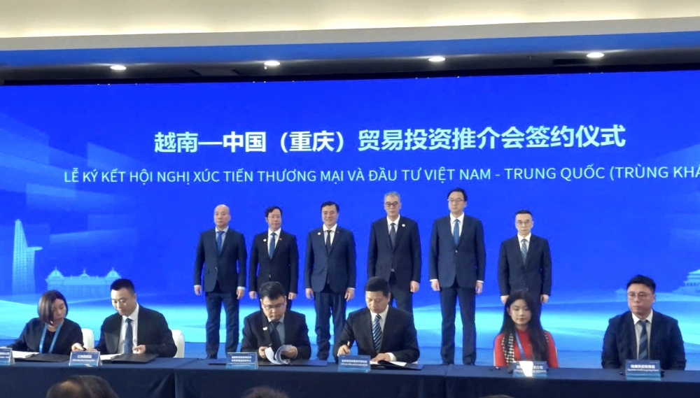 越中经贸与投资合作正迈入 Các đại biểu hai nước tham dự Hội nghị