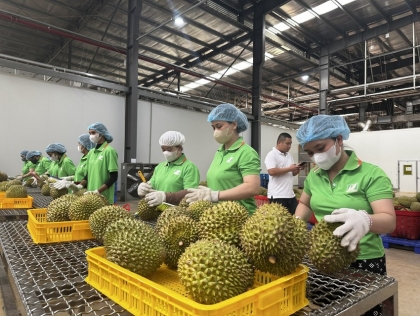 越南向中国分享农产品溯源系统信息