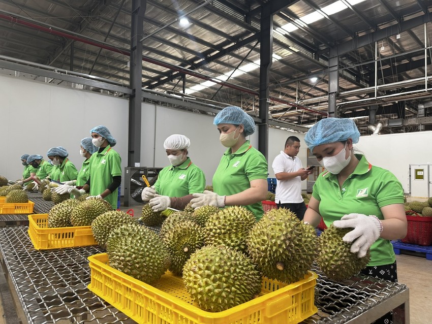 越南向中国分享农产品溯源系统信息