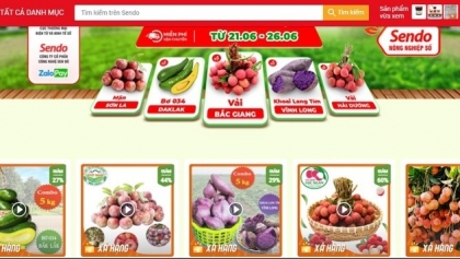 越南农民通过Sendo电商平台出售农产品