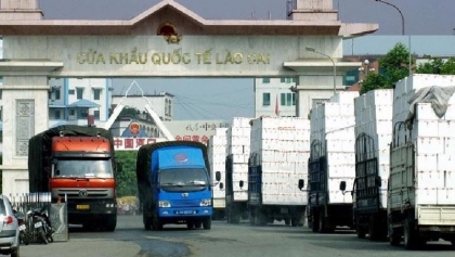 中国仍是越南众多出口产品的主要消费市场