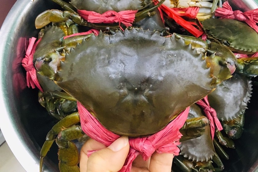 越南对华活蟹出口量增加了10倍