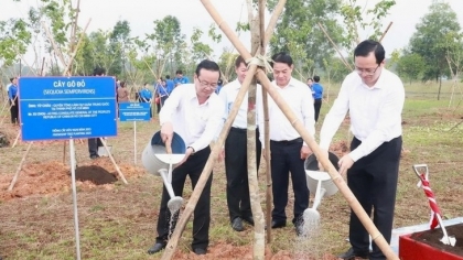 友谊树下书写越中各地合作关系新篇章