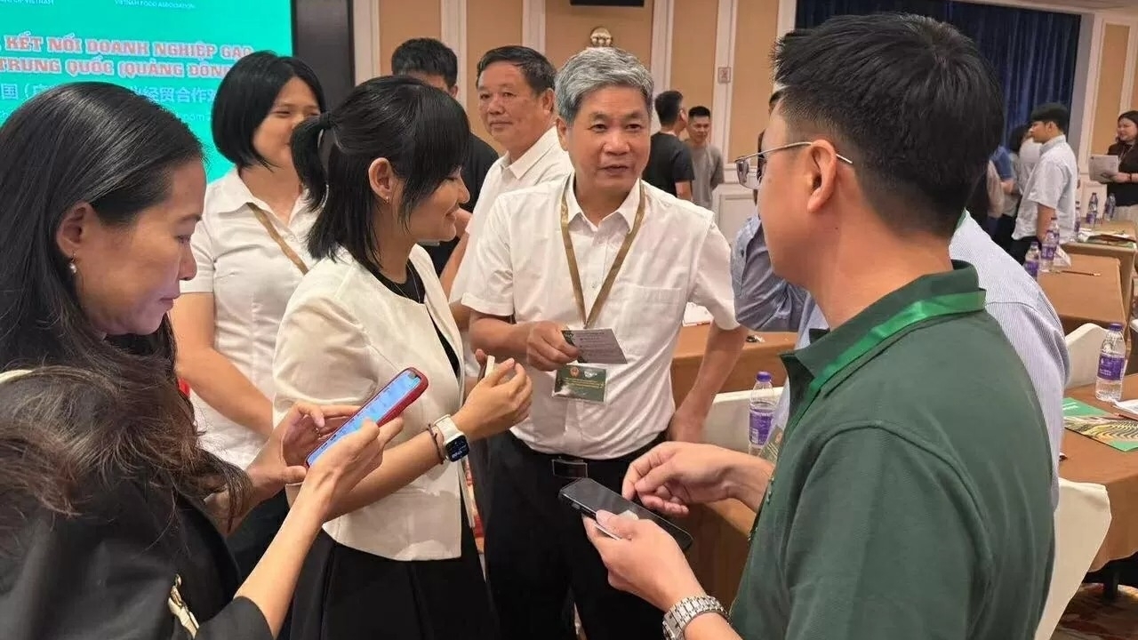 推动越南—中国（广东）大米贸易迈上新台阶