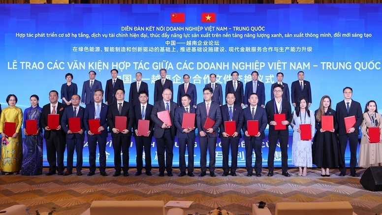 越中经济合作潜力巨大绿色与创新成新亮点