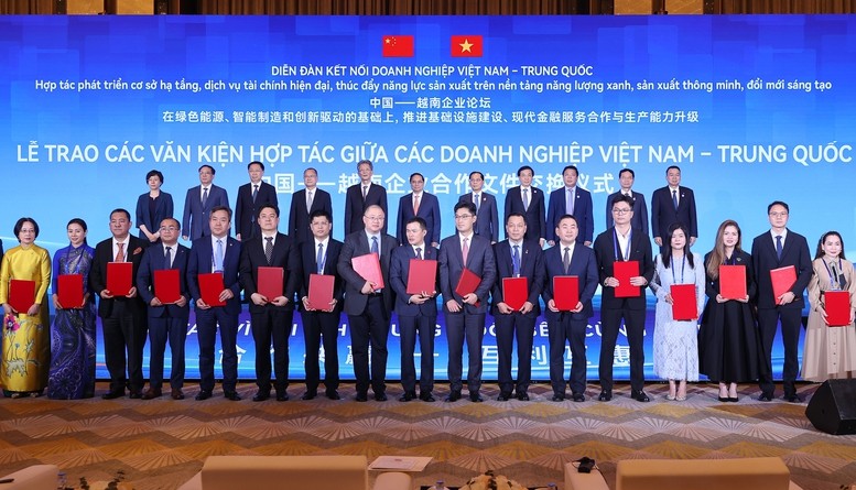 越中经济合作潜力巨大绿色与创新成新亮点