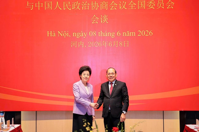 越南祖国阵线与中国全国政协继续巩固和加强合作关系