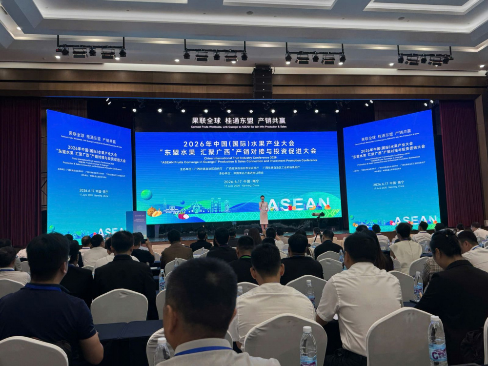 加强经贸对接,拓展越南水果对华出口新机遇 Đoàn tham gia sự kiện “Thị trường lớn cho tất cả: Xuất khẩu sang Trung Quốc – Trái cây ASEAN tụ hội tại Quảng Tây 2026”. Ảnh: Vietrade