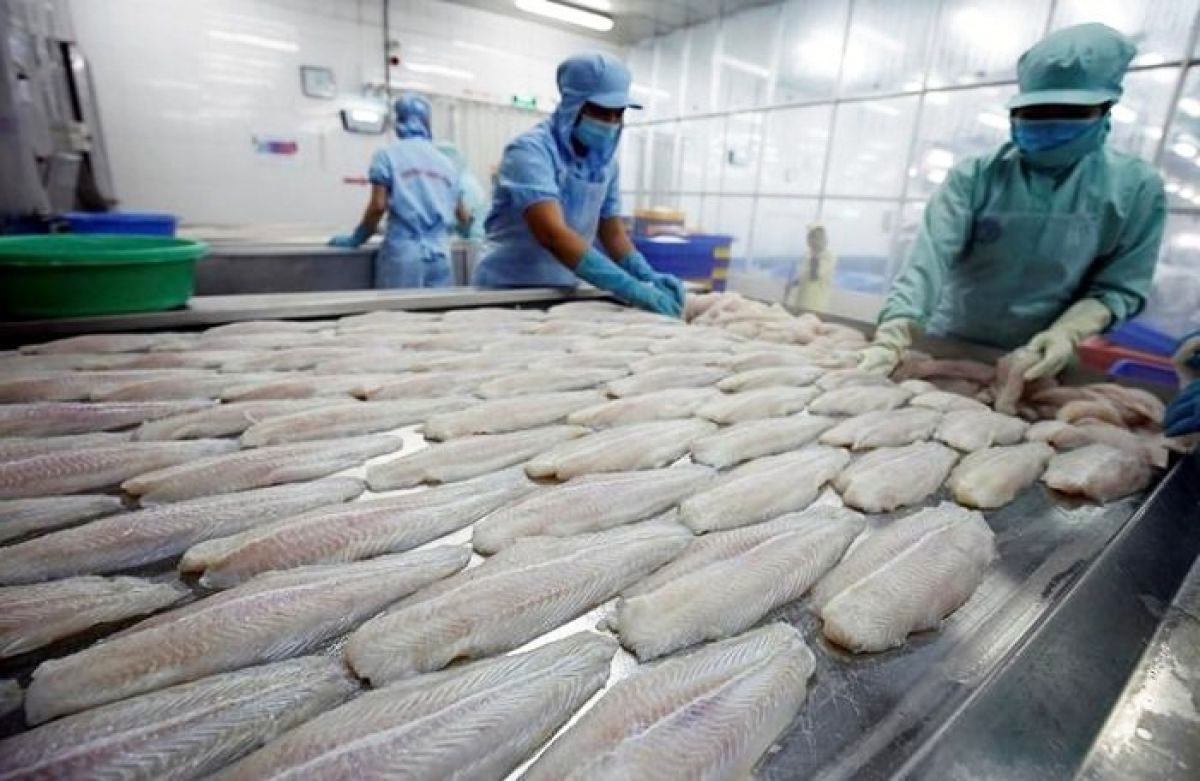 Bản in : 越南查鱼片在中国台湾市场占据99%以上份额 | Vietnam+ (VietnamPlus)