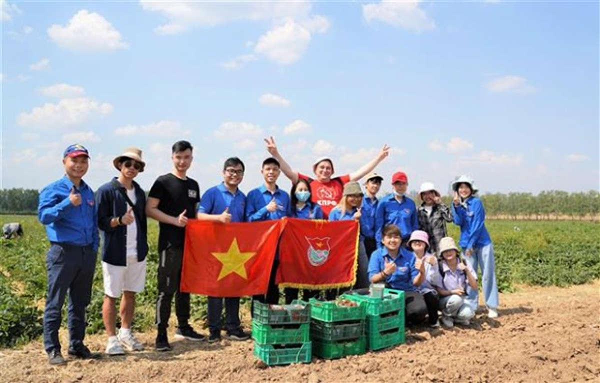 Bản in : 越南大学生积极参加俄罗斯莫斯科共产主义星期六义务劳动 | Vietnam+ (VietnamPlus)